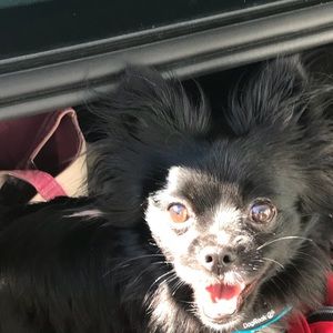 Meet your Posher, Christi